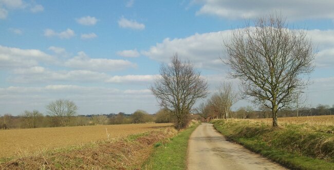 Beautiful Essex countryside