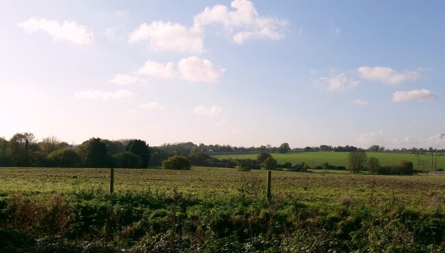 Beautiful Essex countryside