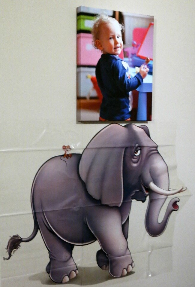 Elephant decal