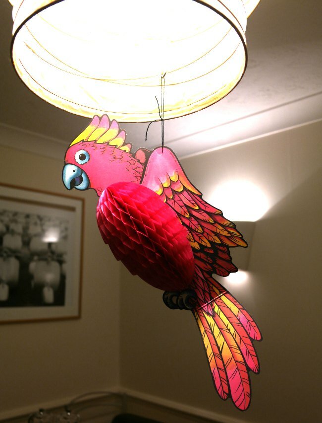 Hanging parrot