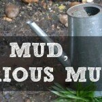 Mud mud glorious mud!